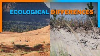 Dune Ecology — Desert Dunes VS Coastal Dunes