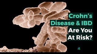 Treat Crohn's Disease & Inflammatory Bowel Diseases [IBD] in 2024