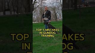 Top 5 mistakes in gundog training. #gundogtraining #gundog #gsp #gwp #dogtraining