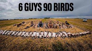 6 GUYS 90 BIRDS IN 30 MINUTES! ALBERTA DUCK HUNT