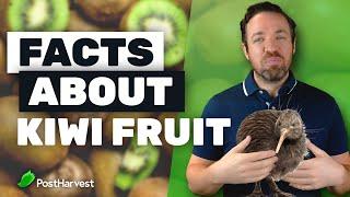 Top 7 Facts About Kiwi Fruit