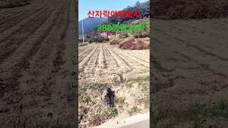 #청도땅매매 #청도토지 #청도부동산 #청도무한부동산