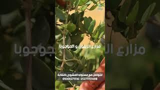 إنطلق نحو مستقبل استثمار زراعي واعد استثمر دلوقتي بمشروع مدينة أطباء المستقبل