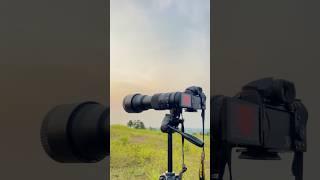 150-600 mm lens photography  #shorts #photography #ytshorts