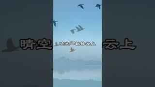 中文古典诗词：秋词 [唐] 刘禹锡