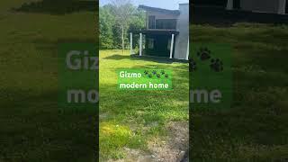 Gizmo modern crib