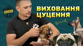 Виховання цуценя) обовʼязково к перегляду