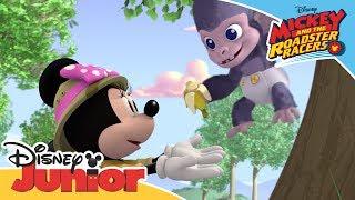 Mickey and the Roadster Racers - The Happy Helpers Rescue a Gorilla