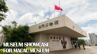 Macao Museum Case | DG Display Showcase-Your best Choice to Optimize the Display of Museum Showcases