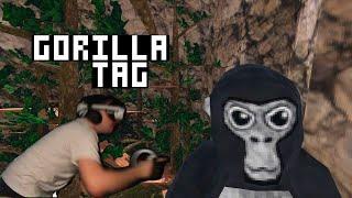 ГЛЕБ ИГРАЕТ В GORILLA TAG | SASAVOT