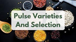 Pulse Varieties And Selection