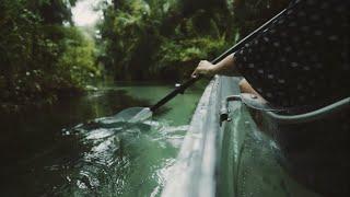 Clear Kayak Tours - Central Florida (Get Up And Go Kayaking)