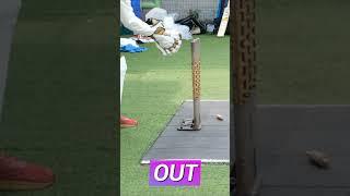 Wicket Keeper Stumping Rule 2023 #cricketshorts #shorts