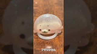 【ガチャ替え歌2】水族館の人気者アザラシは可愛いよぬ＃shorts