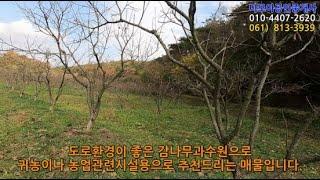 (1451) 쌍정제인근 도로변 1,132평 감나무과수원 / 영암군 영암읍 학송리