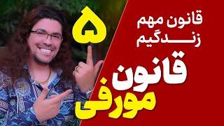 قانون مورفی چیست ؟| 5قانونی که اگر استفاده شون نکنی هرگز به موفقیت نمیرسی| 5 قانون آدام مرادی