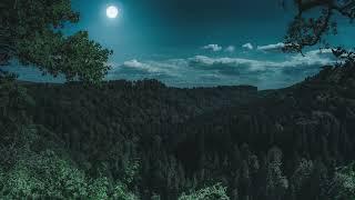  Suono rilassante della foresta di notte con la pioggia e gufi aiuto per dormire relax ASMR zen