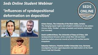 Influences of syndepositional deformation on deposition