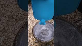 Water bottle used to defrost bird bath