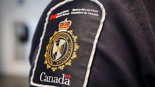 Canada and the U.S. offer a ‘workaround’ to alleviate the huge Nexus backlog