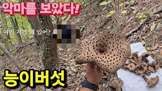 능이버섯 따러 갔다가 기절할뻔 했습니다!! 아무도 없는 산 속 도대체 여기에 왜?