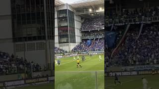 React gols do cruzeiro x santos na torcida #cruzeirohoje #torcida #santos