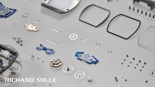 Savoir-faire RM 17-02 Titanium — RICHARD MILLE