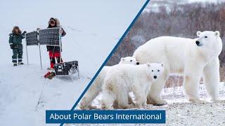 Polar Bears International — About Us