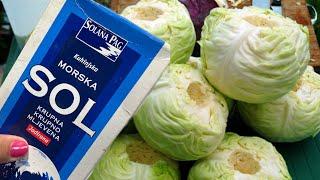 When is the Best Time for Pickling Cabbage! A recipe that works even for beginners!