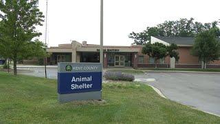 Kent County Animal Shelter temporarily relocating for required renovations