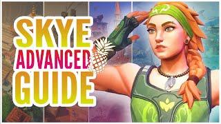 The ULTIMATE Skye Guide