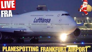 Live Planespotting Frankfurt Airport | #Adventsstream ️| LH506 ️‍️Lichthupe | Platz 1 FR24