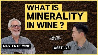 What is Minerality in Wine? Master of Wine Peter Answers!