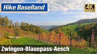 Hike: from Zwingen to Aesch via Blauepass (Baselland, Switzerland)