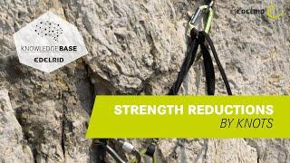 Strength Reduction by Knots | EDELRID Knowledge Base