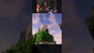 Oveja spin me around #minecraft #twitch #gameplay #mausaldierna