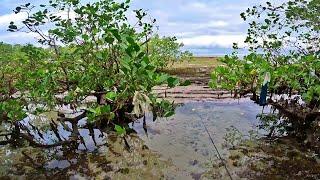 Spot that Never Fail | Ultralight Fishing in the Philippines