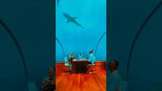 Restaurants on earth that don't look real |Dubai underwater restaurant |#dubai #italy |Travel World