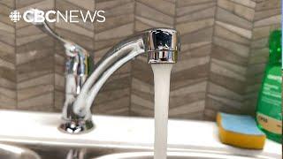 The science behind adding fluoride to drinking water