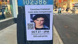 how i created the timothee chalamet lookalike contest