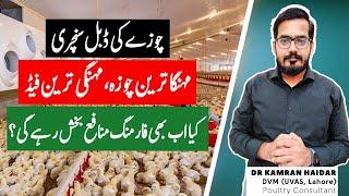 Poultry Farming Still Profitable? | Why Day-Old Chick is so Much Expensive? | Future of Farming