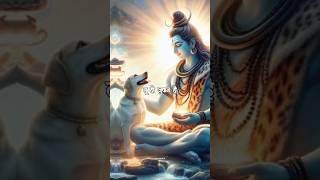 Mahadev status video  bholenath status ️ shiv status video  Mahakal #shorts