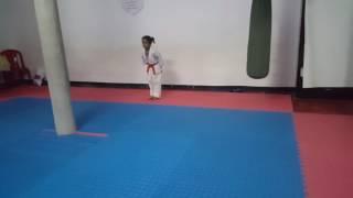 6 yrs old kid performs Heian Needan!