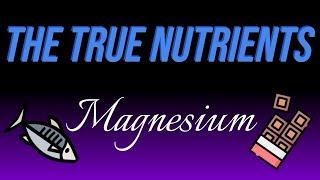 The True Nutrients - Magnesium