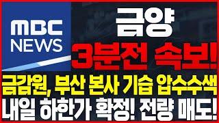 [금양 주가전망]긴급상황 발생! 심장마비 속보! 하필 주말에 터졌다! 도저히 믿을수가 없습니다... #금양 #금양주가전망 #금양주식전망