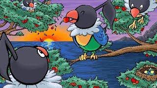 Pokémon XY Wi Fi Battle #42 VS Andy - ChaTROLL!