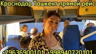 Krasnodar Tashkent  avtobus#краснодар Ташкент автобус прямой рейс￼ Краснодар Ташкент прямой рейс