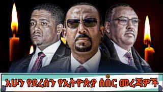 Breaking Ethiopia News NOW! | አሁን በኢትዮጵያ ውሰጥ እየተፈጸመ ያለው መረጃ | ethiopian news today 21 November 2024