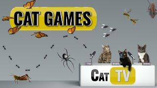 Cat Games | Ultimate Cat TV Bugs and Butterflies Compilation Vol 2 | Videos for Cats to Watch