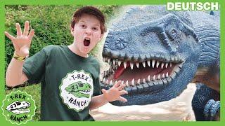 Dinosaurier-Versteckspiel in der Dinosaurier-Welt | T-Rex Ranch - Dinosaurier für Kinder